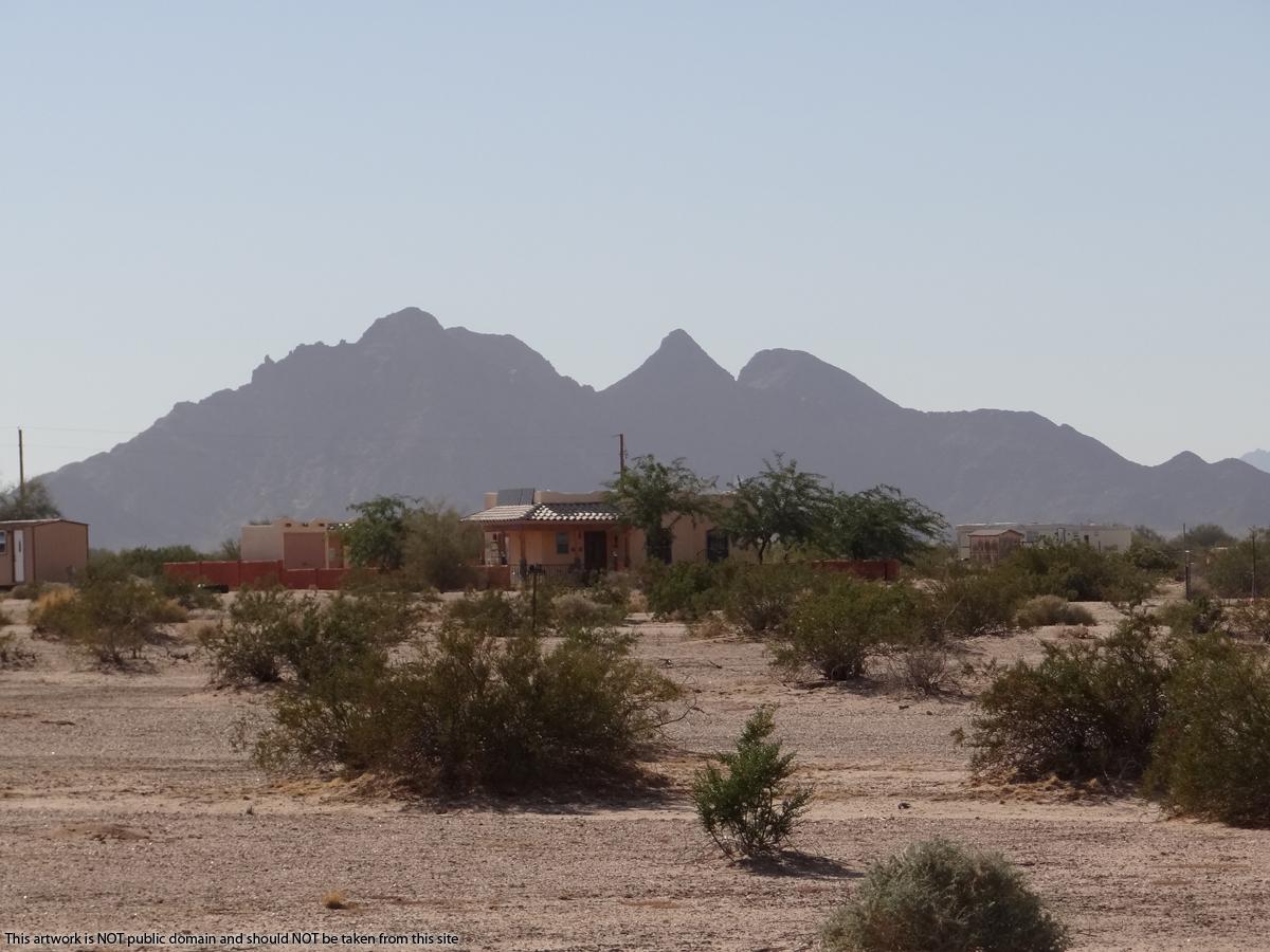 0.25 acres land for sale in Tacna, AZ